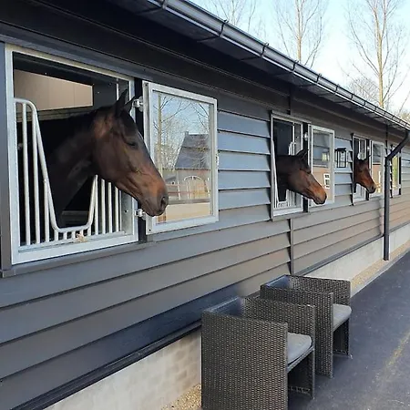 Appartement Royaal P&b 't Hoeves *