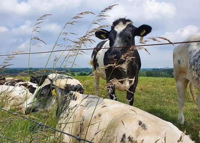 Royaal P&b 't Hoeves Apartment