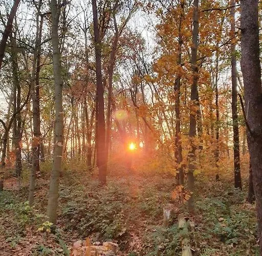 Royaal P&b 't Hoeves Apartment