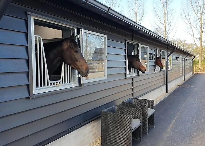 Apartment Royaal P&b 't Hoeves *