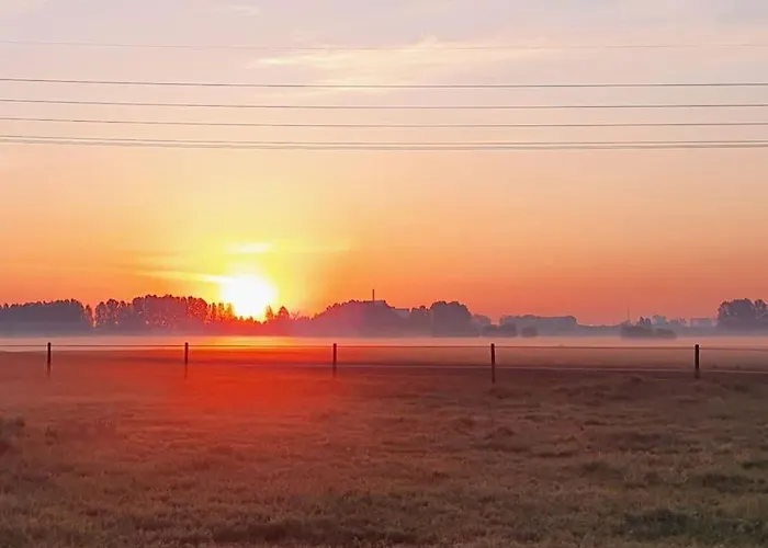 Royaal P&b 't Hoeves * Schijndel