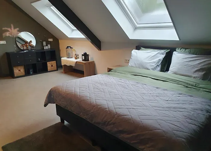 Apartment Royaal P&b 't Hoeves *