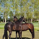 Royaal P&b 't Hoeves Schijndel